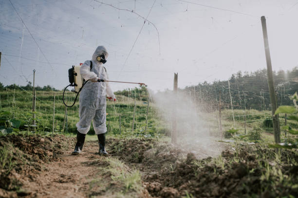 Best Pest Control Treatment  in Rden, WA