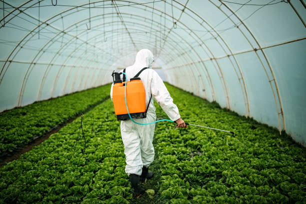 Best Affordable Pest Control Services  in Rden, WA