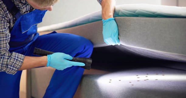 Best Termite Control Services  in Rden, WA