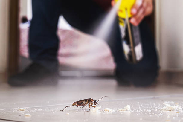 Best Pest Removal Services  in Rden, WA